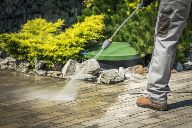 Best Pre-Holiday Cleaning  in Pimmit Hills, VA