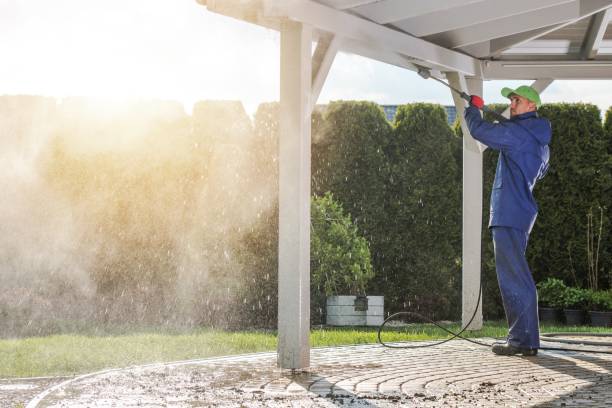 Best Driveway Pressure Washing  in Pimmit Hills, VA